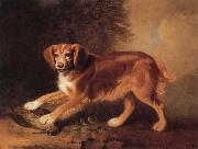 Benjamin Marshall A Celebrated spaniel,the property of colonel joliffe,in a landscape with a woodcock Spain oil painting artist